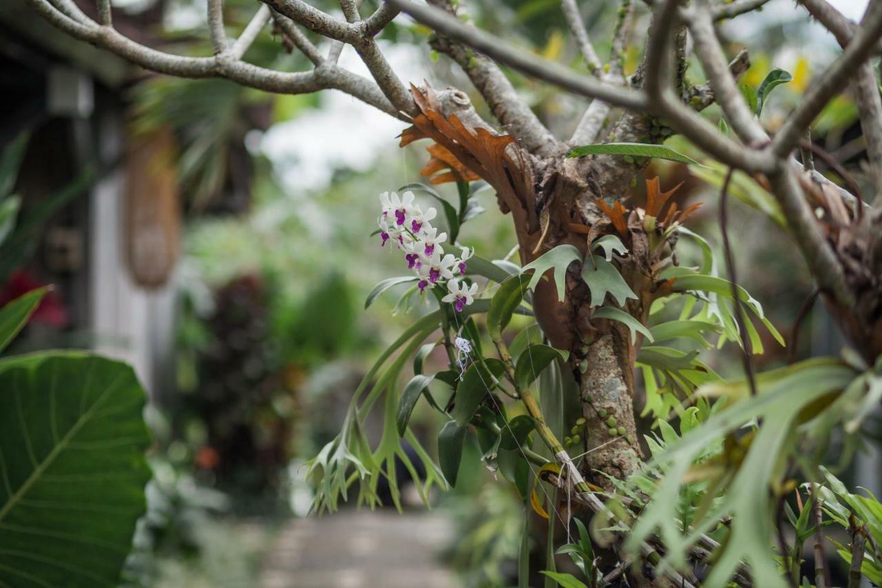 Green Taman Ubud By Prasi エクステリア 写真